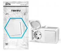 Блок ОП Dita (розетка 16А 250В с заземл. + 1-кл. выкл. 10А) IP54 сер. TOKOV ELECTRIC TKL-DT-V1RZ-C06