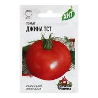 Семена Томат "Джина ТСТ", среднеспелый, 0,05 г серия ХИТ х3 2869443