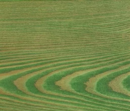 Колер ЖИВИЦА Авокадо (И-22) 100мл.УЦЕНКА