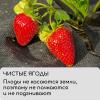 Укрывной материал, плотность 80, УФ, 3,2*10м, черный "Greengo", Эконом 30% 