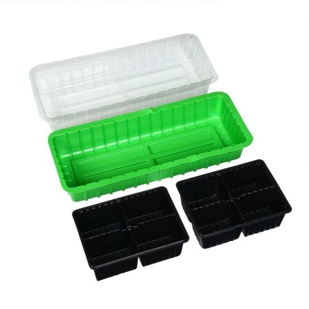 Мини-парник для рассады 40x16x13см, 2 вставки, 8 ячеек "Greengo" зеленый 7675050