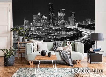 3D Фотообои «Ночной город чернобелые» Песок 300*270