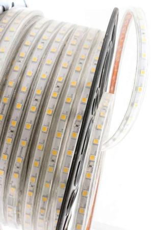 LT560-WW-50, 220В, IP68, Теплый белый