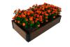 ДПК-03Ч Доска 3D д/грядки (венге) 30*225*3000мм