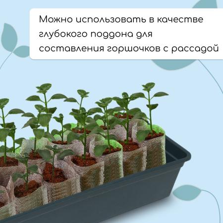 Ящик для рассады 50*15*10см, 5л, чёрный, "Урожай-5" 