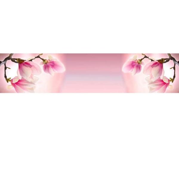 Панель VIP 50/2 2800*610*6