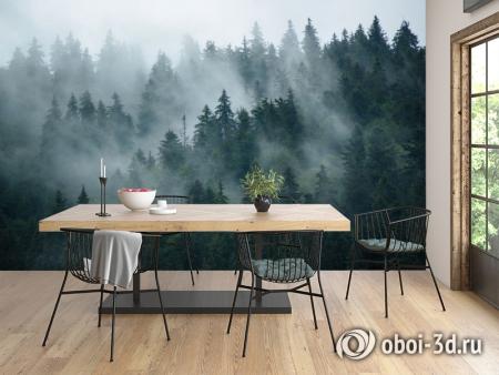 3D Фотообои «Каскадные туманные вершины»