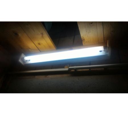 Лампа Osram L18W/765 G13 дн.света