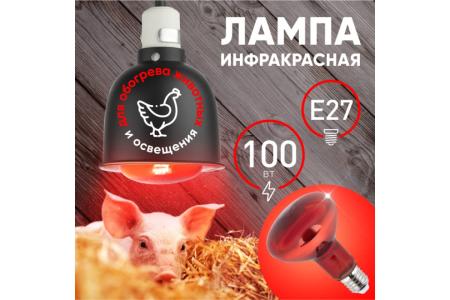 Лампа ИКЗК 100W E27 230-100 R95 