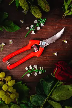 Секатор плоскостной 200 мм, D15 мм, цельнокованый 2465 OBRIGADO 