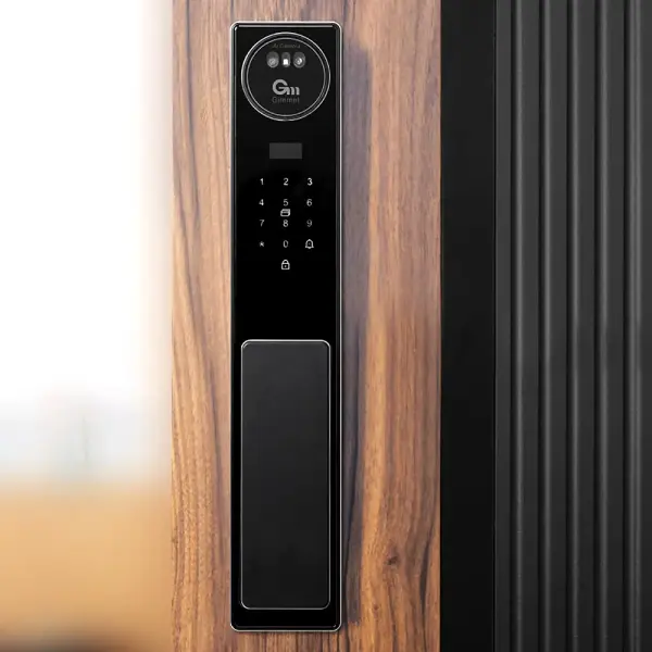 Умная ручка Gimmel F60 Smart Life, черный