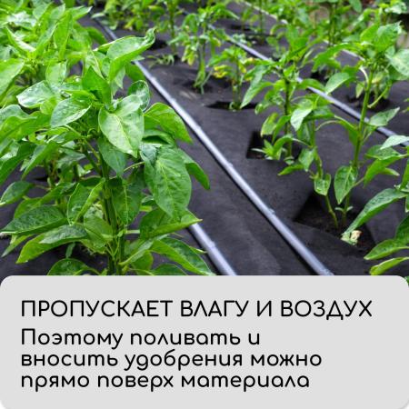 Укрывной материал, плотность 80, УФ, 3,2*10м, черный "Greengo", Эконом 30% 