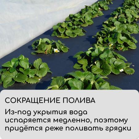 Укрывной материал, плотность 80, УФ, 3,2*10м, черный "Greengo", Эконом 30% 