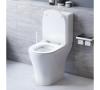 Унитаз-компакт Damixa DX86C8600SC Sirius безободковый с сиденьем микролифт