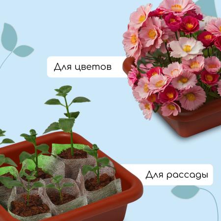 Ящик для рассады 23,5*23,5*7см, микс, 3л 