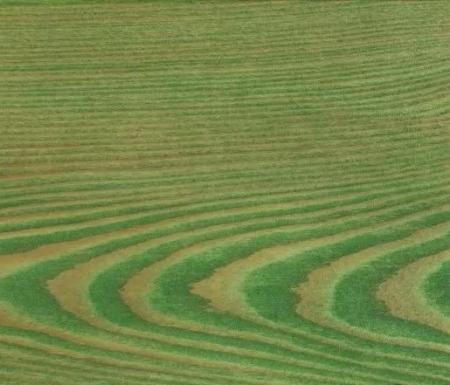 Колер ЖИВИЦА Авокадо (И-22) 100мл.УЦЕНКА