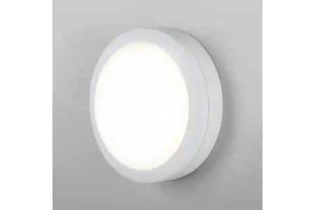 Светильник  LED влагозащищенный 15W 6500K Белый LTB51