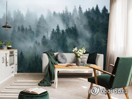 3D Фотообои «Каскадные туманные вершины»