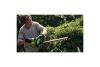 Кусторез Greenworks G40HT61 60см 40В (без АКБ и ЗУ)