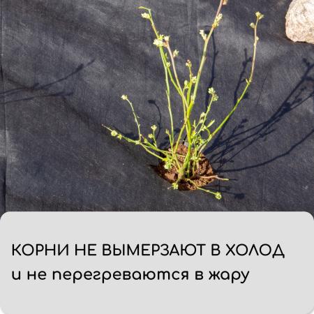 Укрывной материал, плотность 80, УФ, 3,2*10м, черный "Greengo", Эконом 30% 