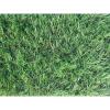 Искусственная трава GRASS MIX 30 2 м