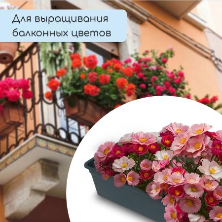 Ящик для рассады 50*15*10см, 5л, чёрный, "Урожай-5" 