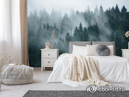3D Фотообои «Каскадные туманные вершины»